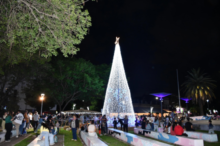 luces1.jpg