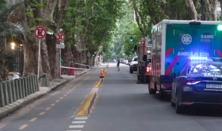 belgrano.jpg