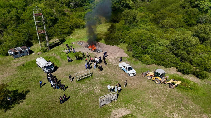Incineran más de 3 toneladas de marihuana y 80 kilos de cocaína en Colonia Benítez