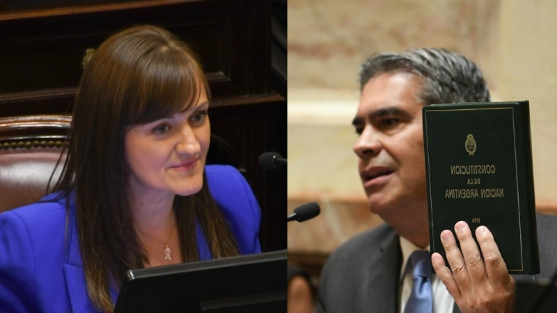 Fuerte contrapunto de los representantes del Chaco en el Senado
