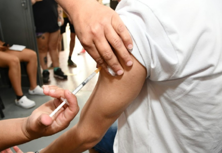 dengue3.jpg