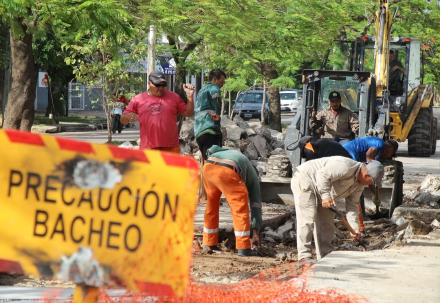 bacheo2.jpg