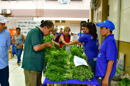 3 Productos paipperos1.jpg
