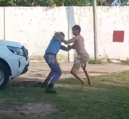 piña cuatro.jfif