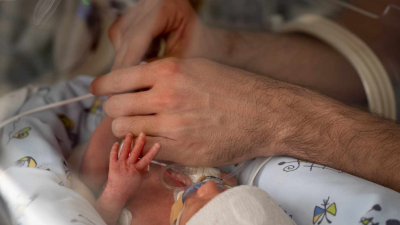 Sangre del cordón umbilical, mejor que las transfusiones de adulto