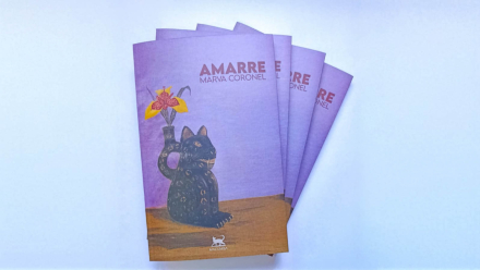 amarre00.jpeg