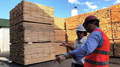 La forestoindustria aporta 243 millones de dólares anuales a la economía provincial