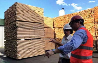 La forestoindustria aporta 243 millones de dólares anuales a la economía provincial