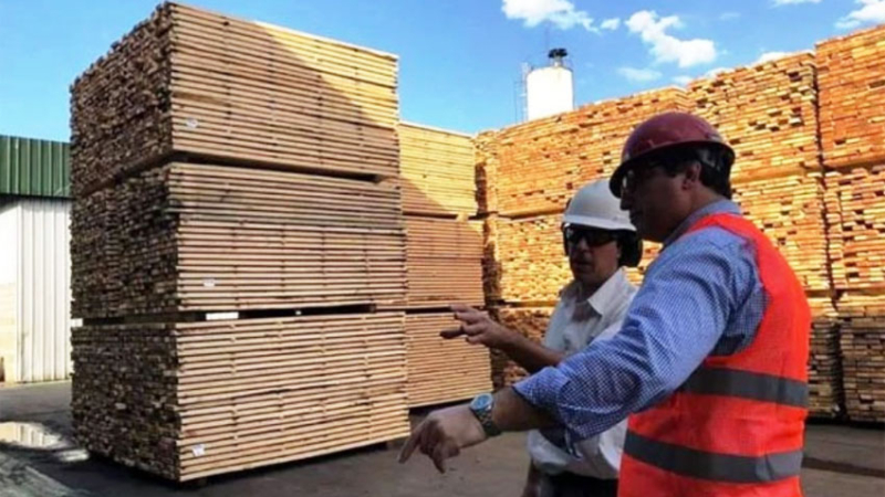 La forestoindustria aporta 243 millones de dólares anuales a la economía provincial