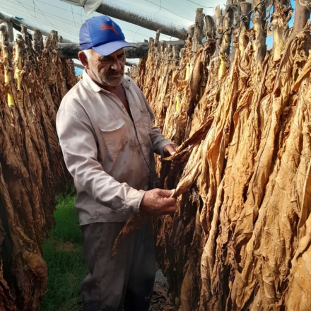 Productores paipperos (12).jpg