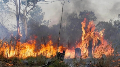 Menos incendios forestales pero máxima alerta por el calor extremo