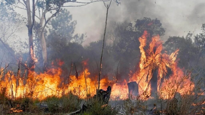 Menos incendios forestales pero máxima alerta por el calor extremo