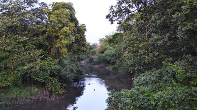 Sobre la protección ambiental