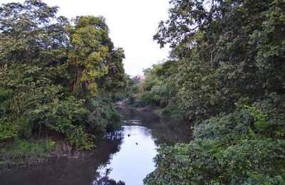 Sobre la protección ambiental