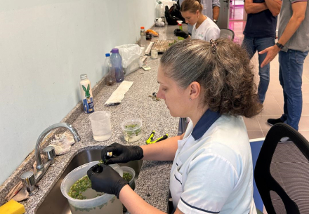 107.jpg