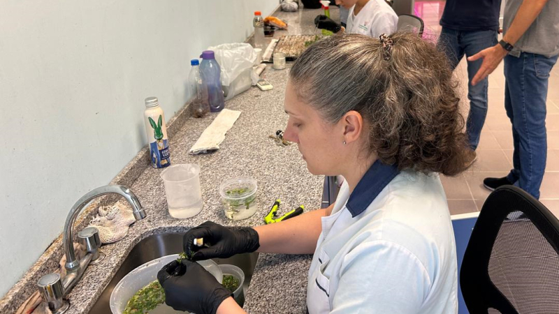 La Escuela de Jardinería exportará tecnología y un millón de plantines frutales