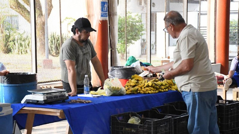 Exitosa edición de las Ferias Paipperas