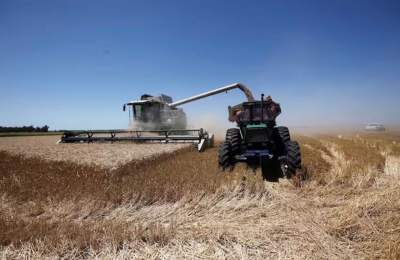 La Argentina hizo una inédita venta de trigo a Estados Unidos