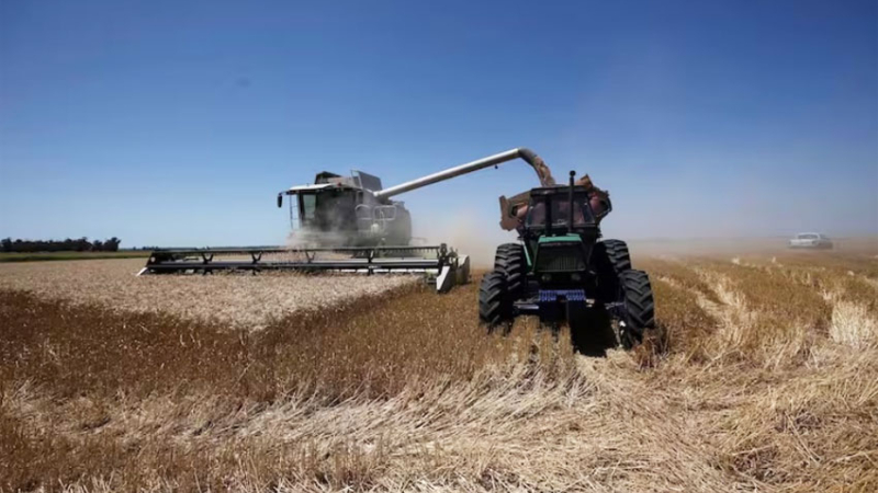 La Argentina hizo una inédita venta de trigo a Estados Unidos