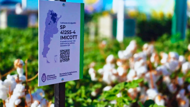 Genética aplicada al campo, la propuesta del INTA para el país
