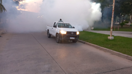 En Clorinda refuerzan la prevención contra el dengue ante la invasión de mosquitos causada por las lluvias y la crecida del río (2).jpeg