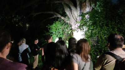 Noche de aventuras bajo la Luna llena