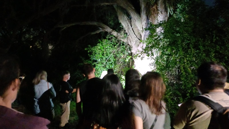 Noche de aventuras bajo la Luna llena