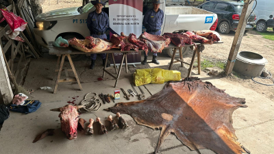 Quemaron más de 200 kilos de carne vacuna no apta para consumo
