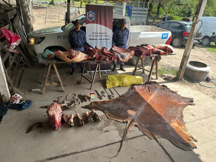 quema1.jpeg