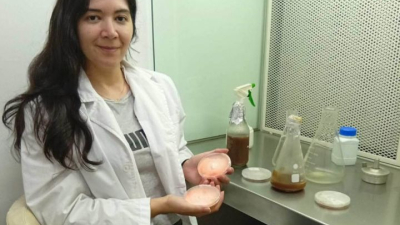 Del residuo al recurso: evalúan la posibilidad de fabricar material de embalaje con hongos nativos