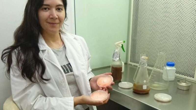 Del residuo al recurso: evalúan la posibilidad de fabricar material de embalaje con hongos nativos