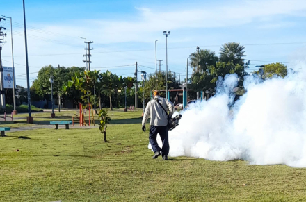 Trabajos-dengue-plazas-San-Martín-y-La-Nueva-Formosa