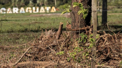 El Municipio apeló el amparo ambiental sobre el Parque Caraguatá
