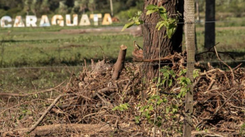 El Municipio apeló el amparo ambiental sobre el Parque Caraguatá