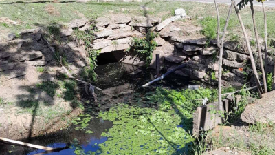 Condenan a organismos públicos por la contaminación de la laguna Argüello
