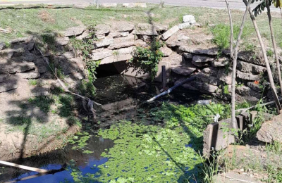Condenan a organismos públicos por la contaminación de la laguna Argüello