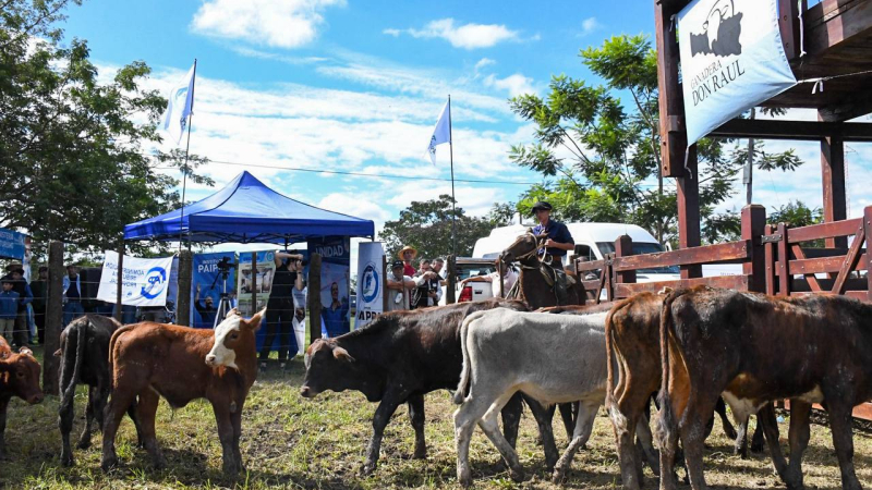En junio se preparan tres remates ganaderos en Formosa
