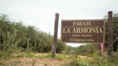 La Armonía ya tiene energía eléctrica: el sueño de décadas que cambia la vida en El Impenetrable