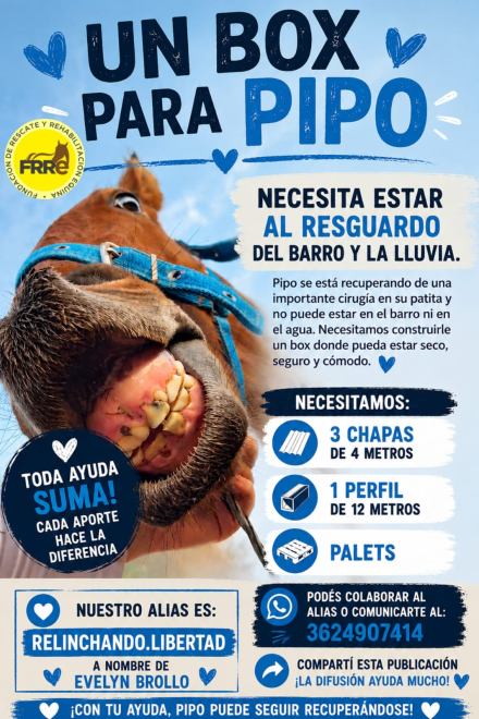 caballito2