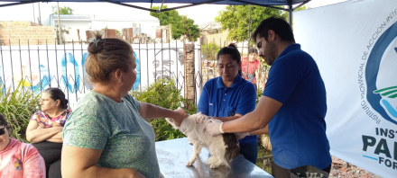 Cuidado responsable de mascotas - PAIPPA-4