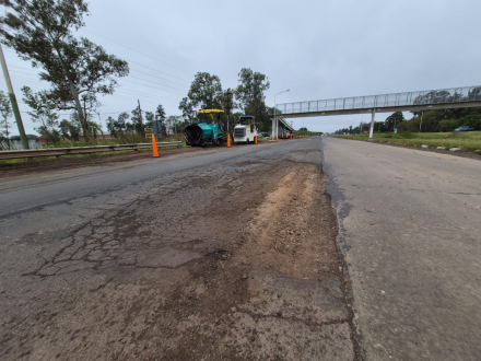 BACHEO 2