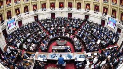 Más millas que Marley: los diputados nacionales y un festival de pasajes