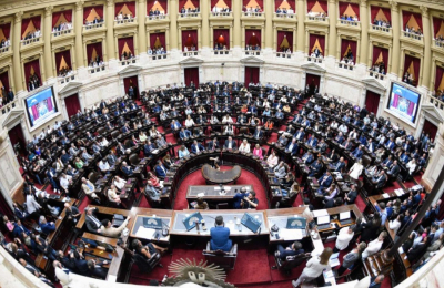 Más millas que Marley: los diputados nacionales y un festival de pasajes
