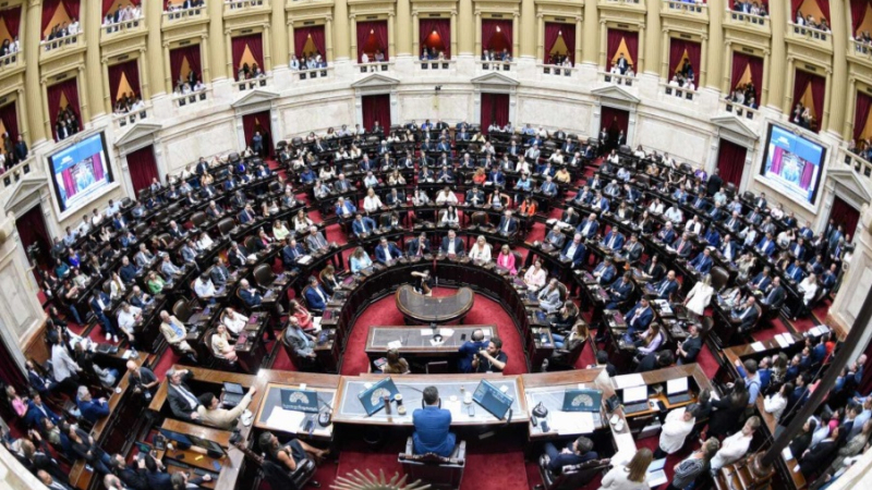 Más millas que Marley: los diputados nacionales y un festival de pasajes