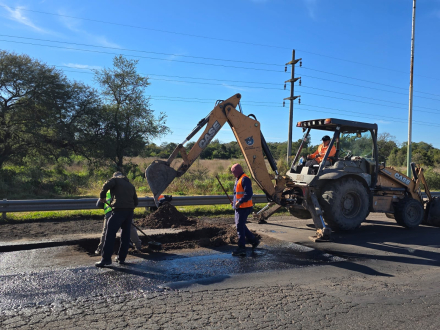 BACHEO 11