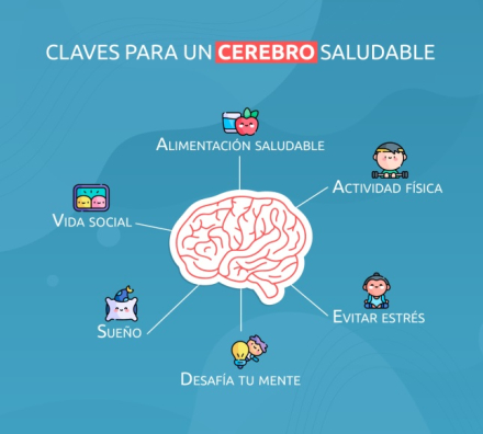 dia mundial cerebro