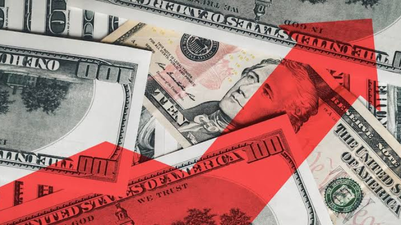 El dólar cerró la semana en alza y alcanzó su pico máximo