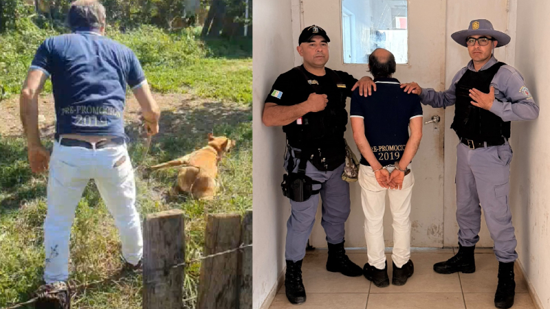 La filmación y denuncia de castigo a una perra permitió que detengan al dueño