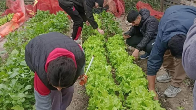 La huerta del IESVA continúa en producción durante el receso invernal