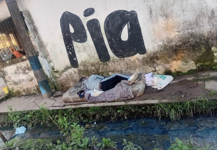 pia